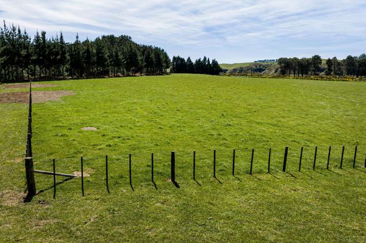 Lot Lot 2/5194 State Highway 50 Tikokino_5