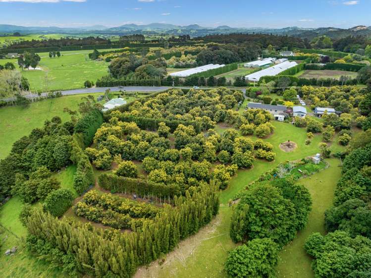 967 State Highway 14 Maungatapere_35