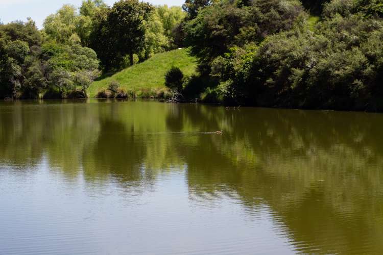 261a Roberts Avenue Aramoho_15