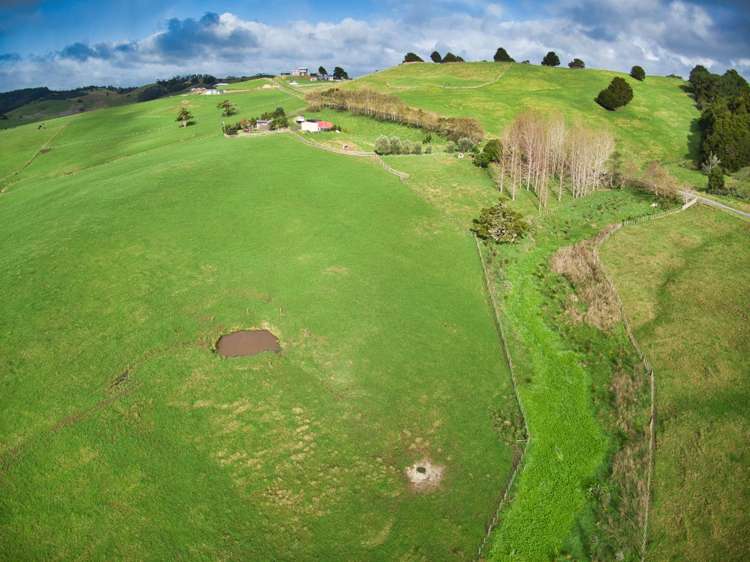 77 Vista Lane Kaiwaka_20