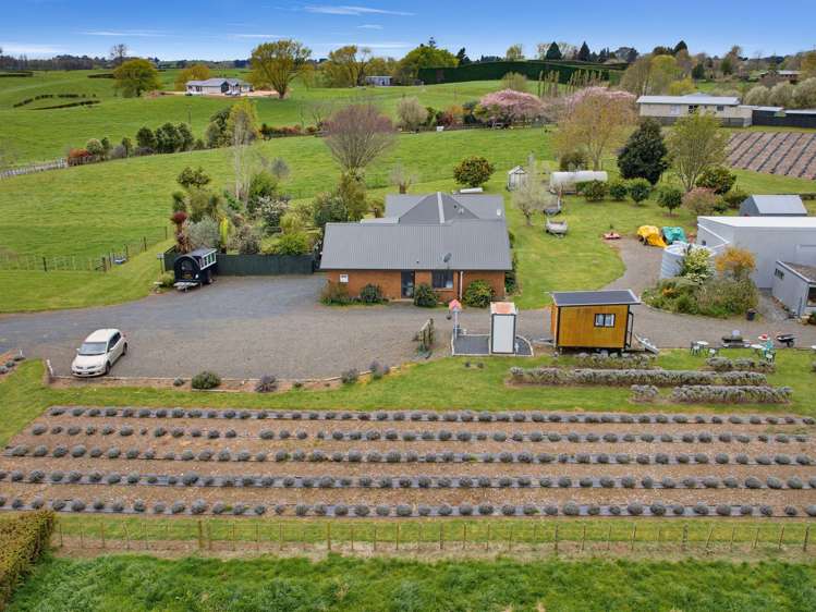 169 Brotherhood Road Kihikihi_14
