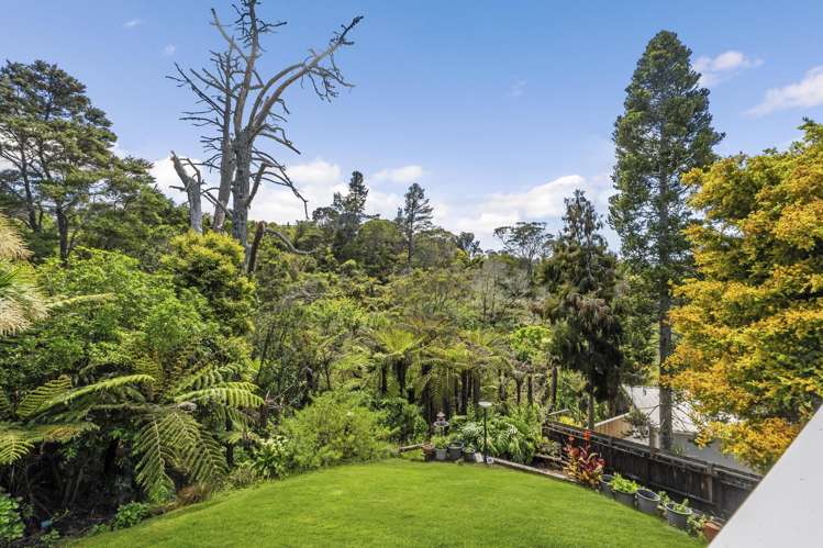 97 John Downs Drive Browns Bay_2