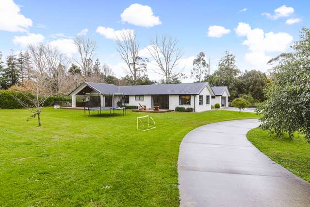 Charming Brick Home on Expansive Grounds