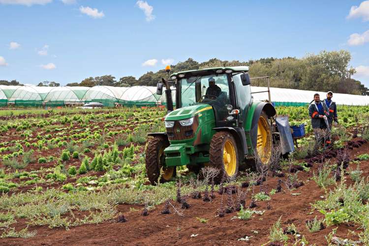 659 Harrisville Road Pukekohe East_2