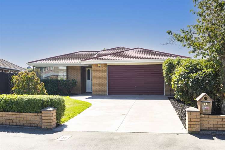 65 Lowry Avenue Redwood_19