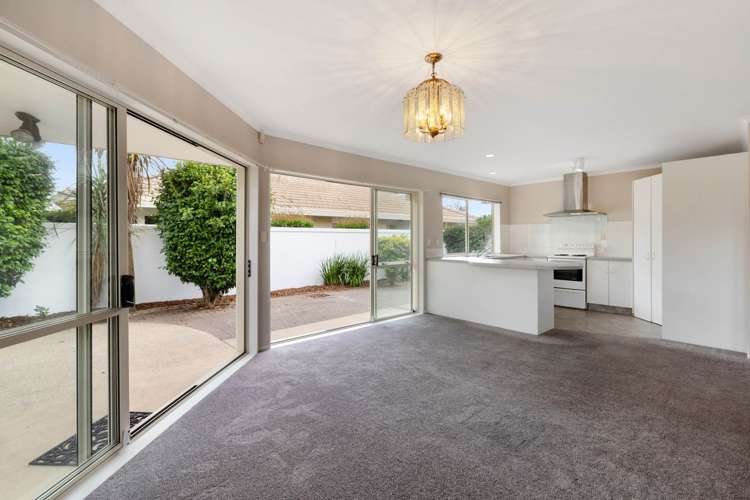 7 Verbena Glen Mount Maunganui_7