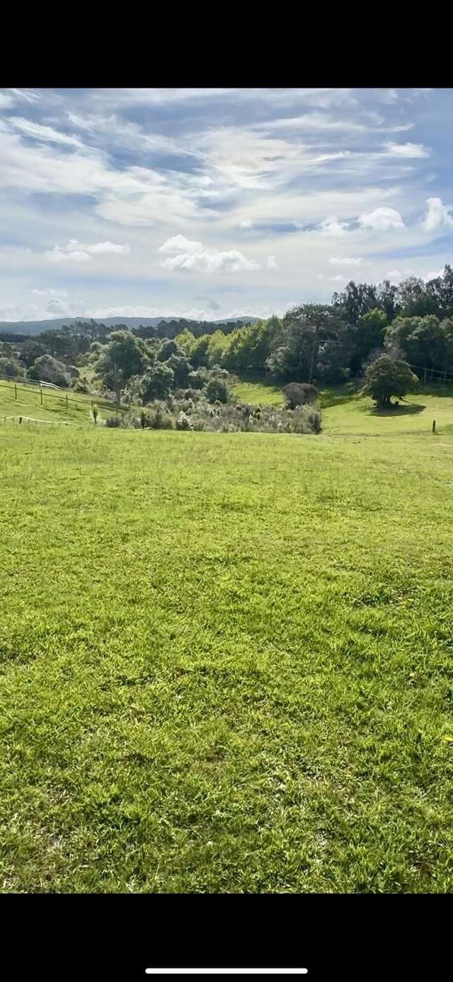 66 Glenmore Road Sunnyhills_3