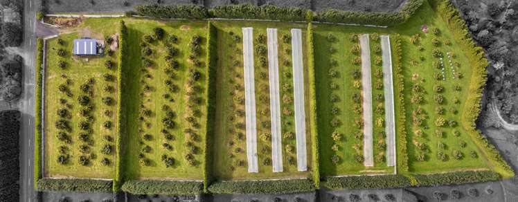 59 Pine Ridge Lane Aongatete_17