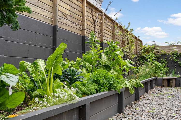 10/43 Woodward Road Mount Albert_5