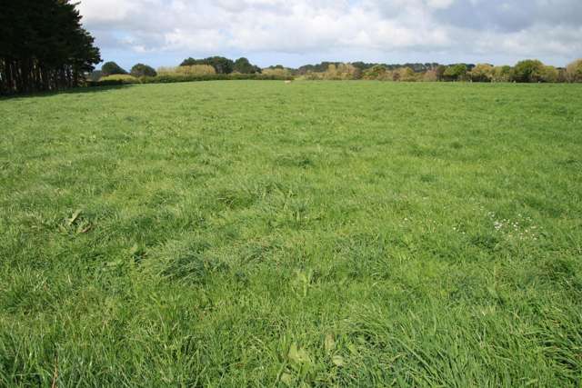 297 Mangawhero Road Auroa_1