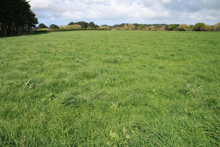 297 Mangawhero Road Auroa_1