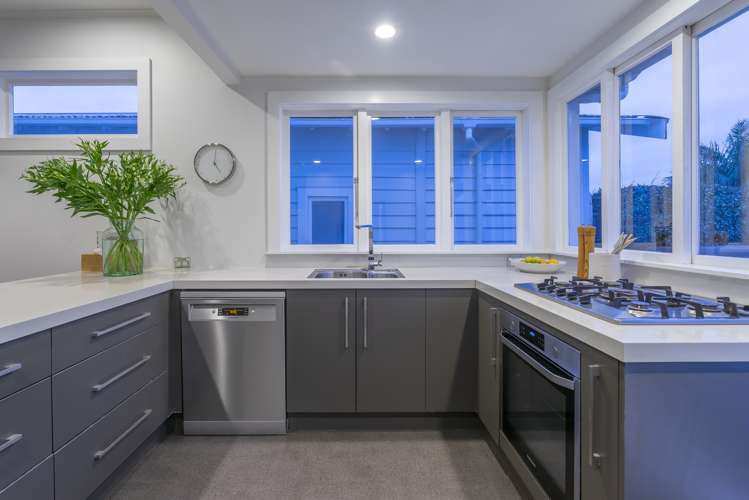 11 Old Mill Road Grey Lynn_5