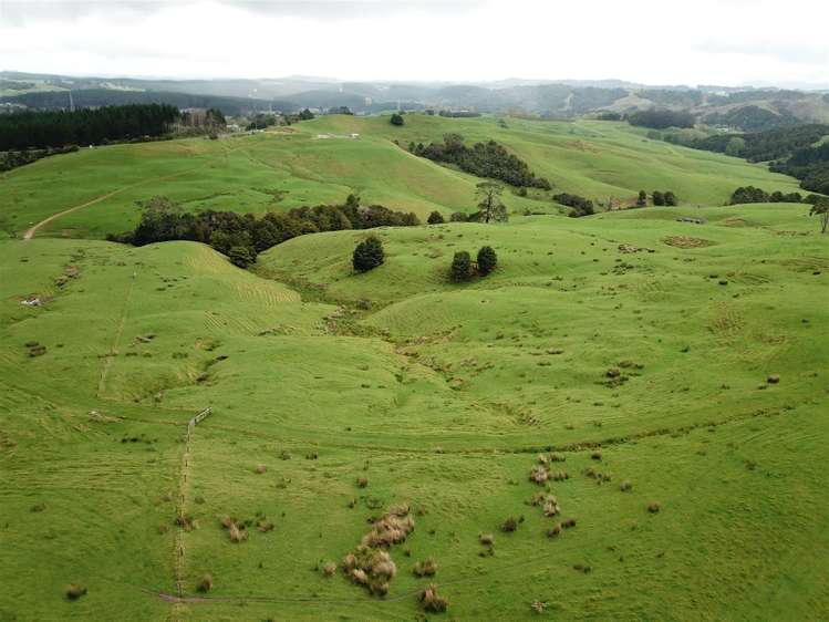 State Highway One Taupo_15