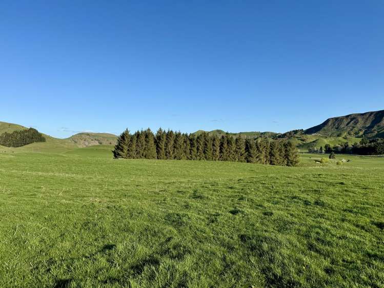 515 Ruanui Road Taihape_19