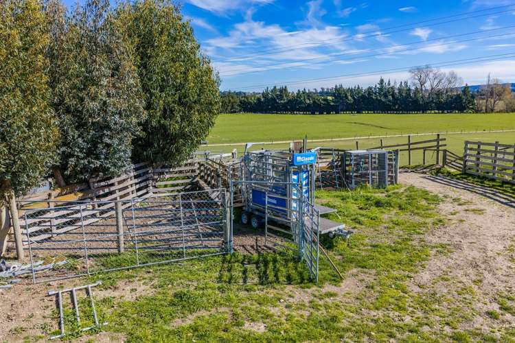 266 Rangiora Leithfield Road Sefton_23