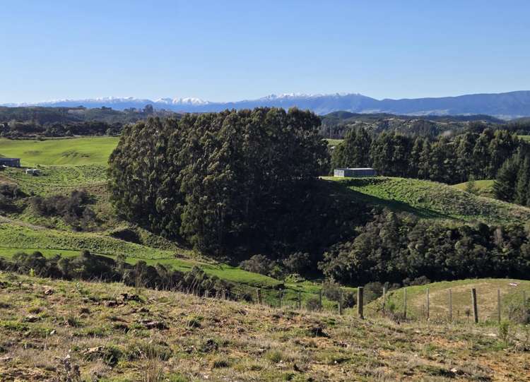 515 Zigzag Road Ashhurst_16
