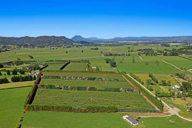 72 Angle Road Awakeri_3