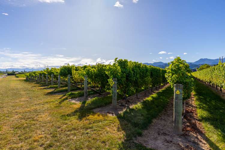 35 Fareham Lane Renwick_30