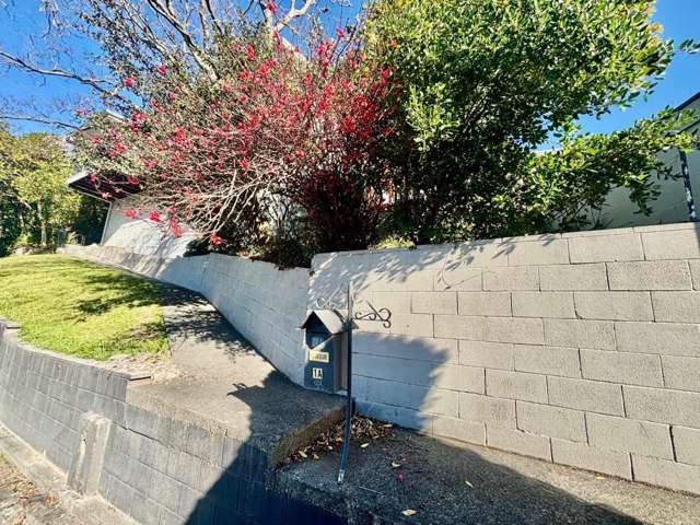 1a Enfield Road Hospital Hill_2