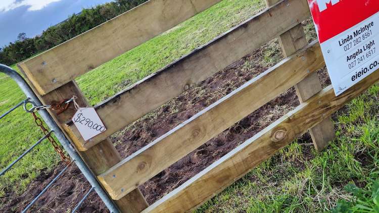 354 + 356 Norfolk Road Inglewood_24