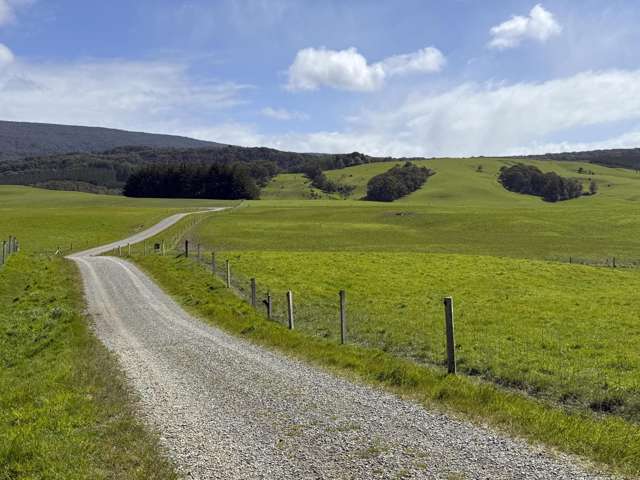 85 Allan Road Otautau_1