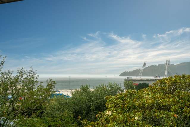 42O/42 Tinakori Road Thorndon_4