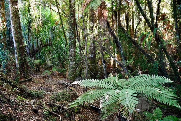 70 Sunset Heights Road Karamea_13