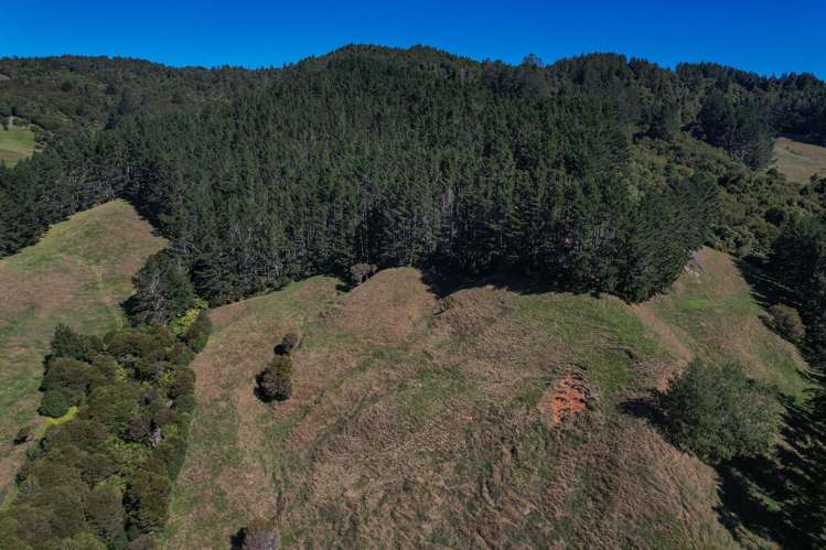 722 Maratoto Road Hikutaia_7