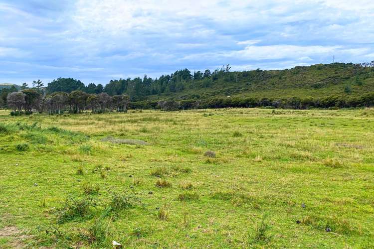 Lot 3/161 Wharariki Road Puponga_13