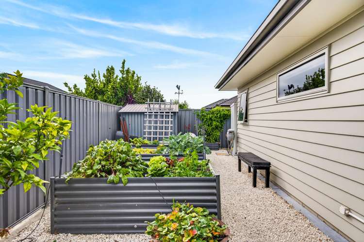 50 Kapiti Drive Poraiti_31