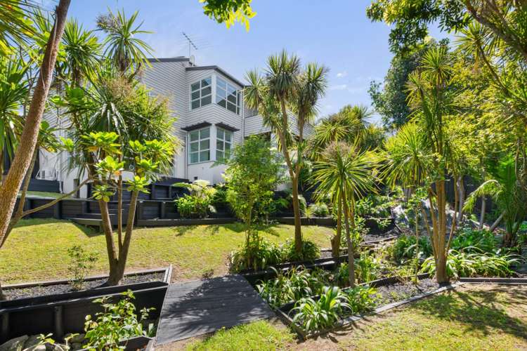 1a Palmer Crescent Mission Bay_29