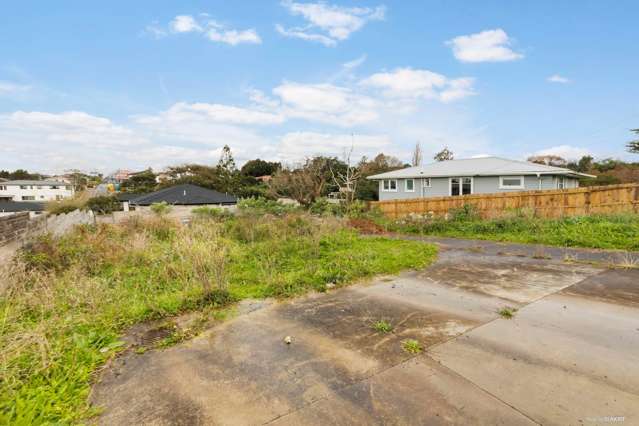 49 Webster Avenue Mount Roskill_2