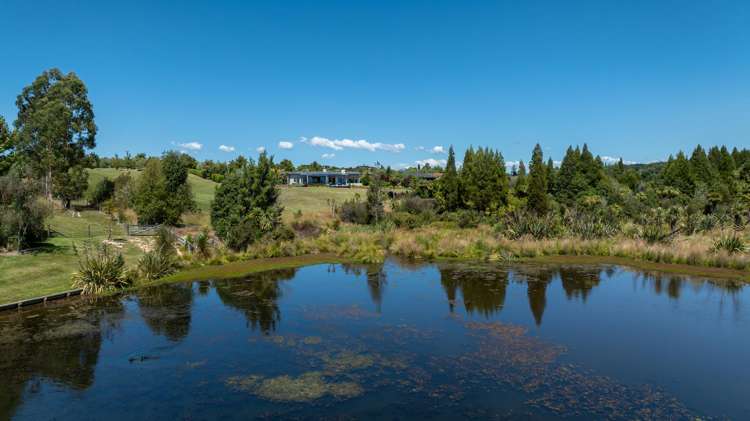 78 Petra Way Mapua_35