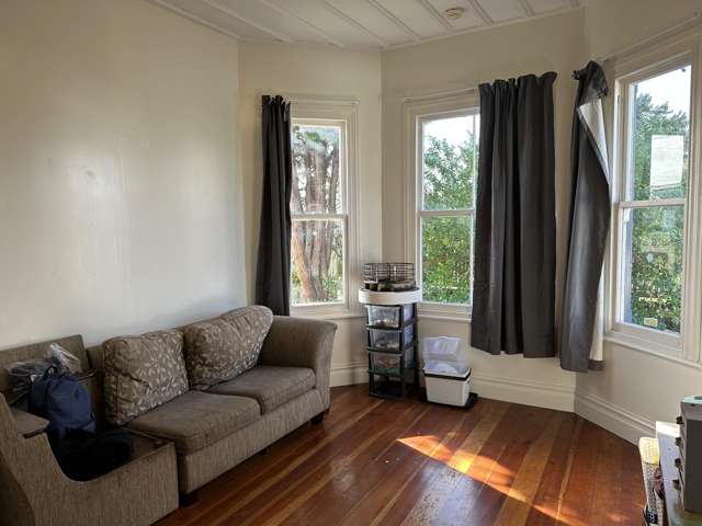 55 Hakanoa Street Huntly_4