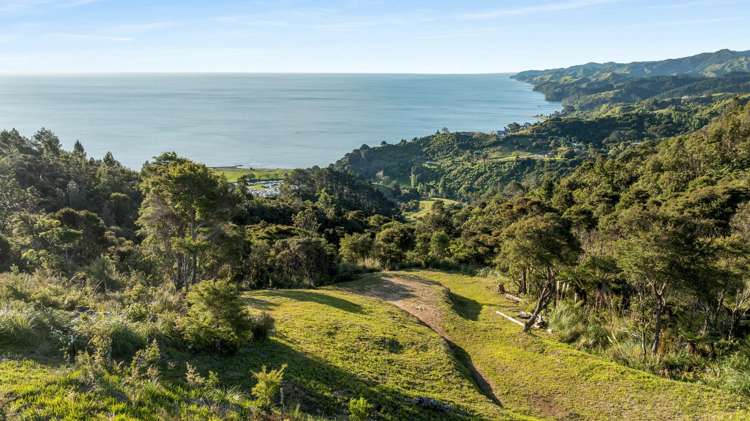 98 Tapu Rise Heights Thames_7