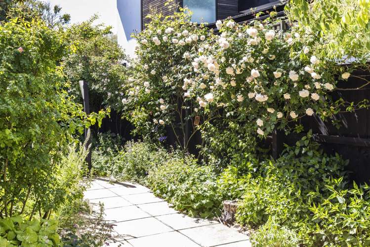 26A Strowan Road Strowan_27