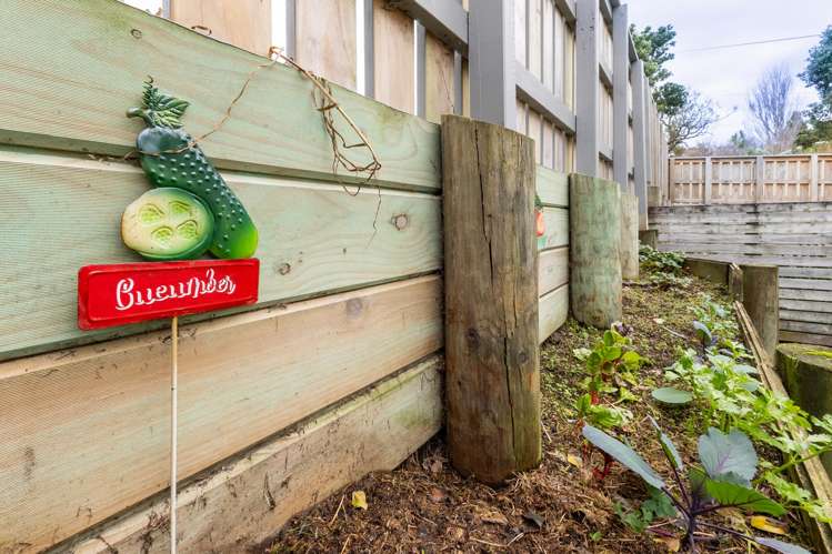 2a Kokako Road Otaihanga_22