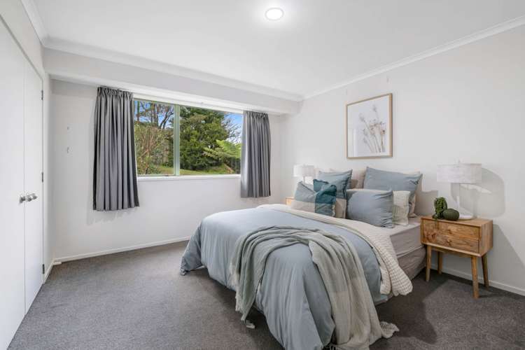 75 Percy Street Warkworth_9