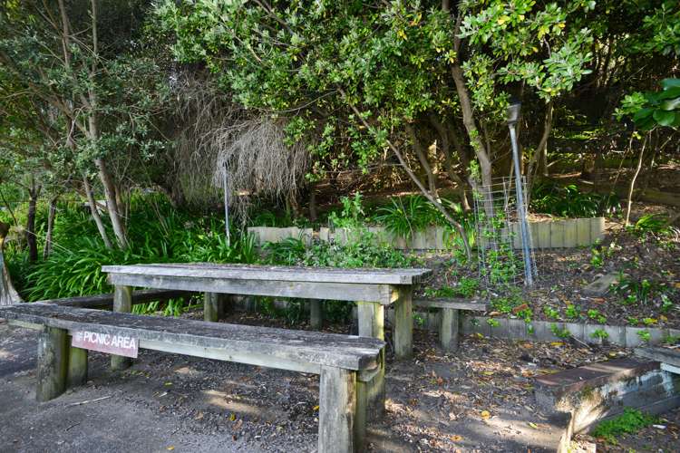 544b Mahia East Coast Road Mahia_16