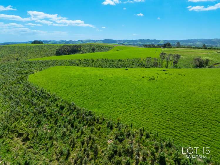 Lots 15 and 16, 36 Munros Road Clevedon_10