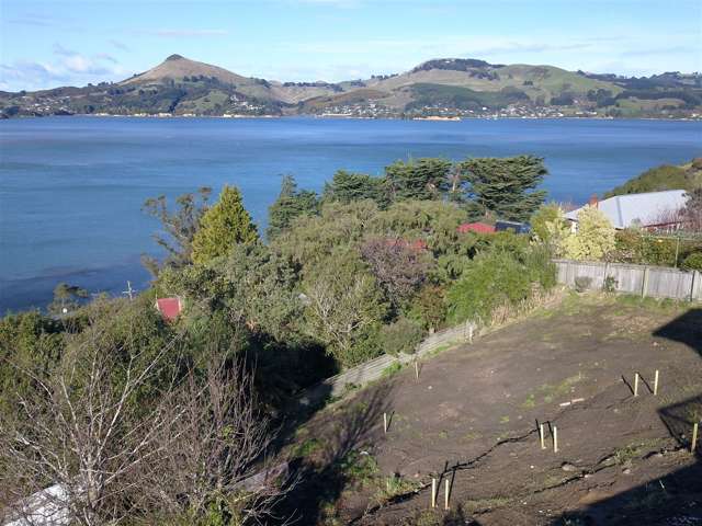 47 Harrington Street Port Chalmers_2