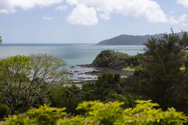 262 State Highway 10 Cable Bay_33