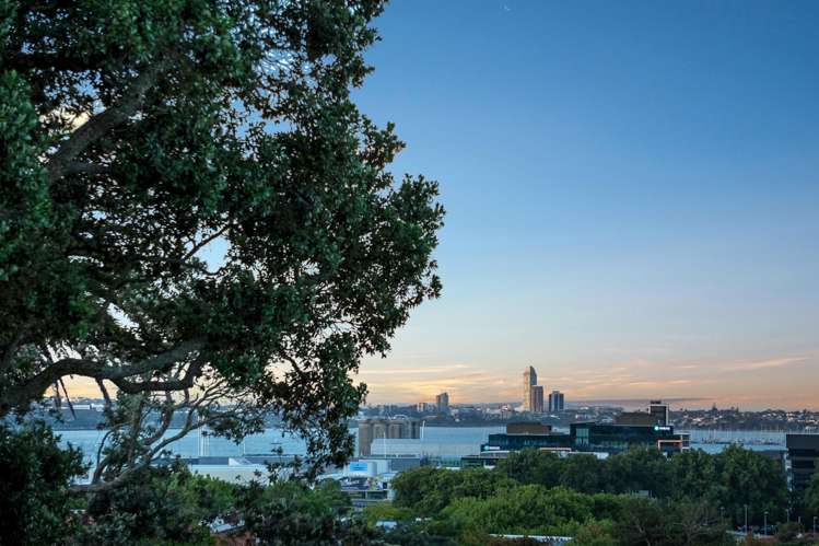 42 Picton Street Freemans Bay_23