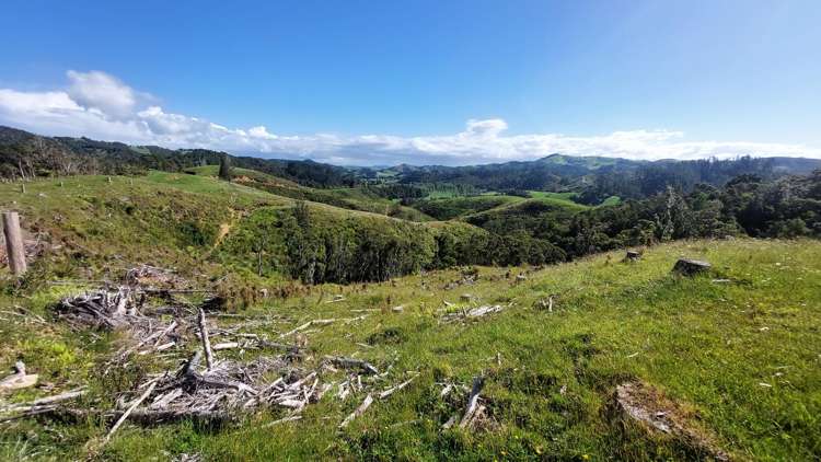 1104 Tapuhi Road Hikurangi Rd2_25