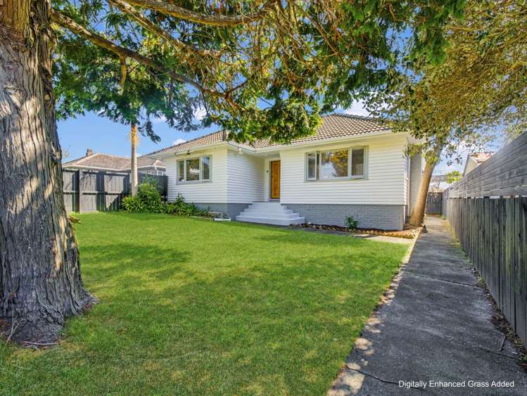 143 May Road Mount Roskill_28