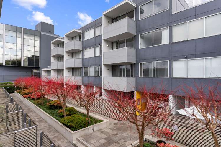 303/22 Fisher-Point Drive Freemans Bay_17