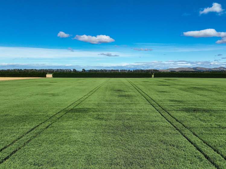 588 Freshford Plains Station Road Wendonside_9