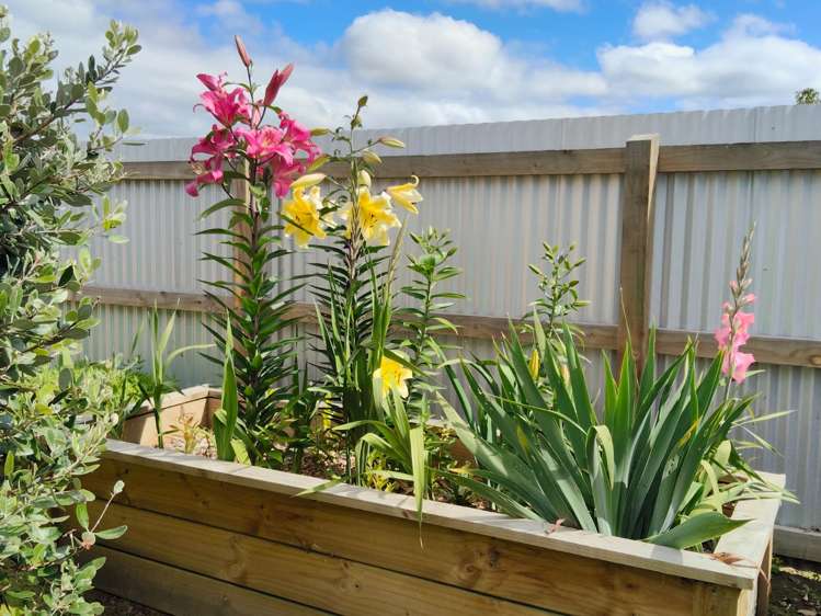 25 Rhodes Street Waimate_34