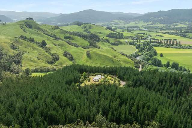 112 Hikuai School Road, Hikuai Tairua_4