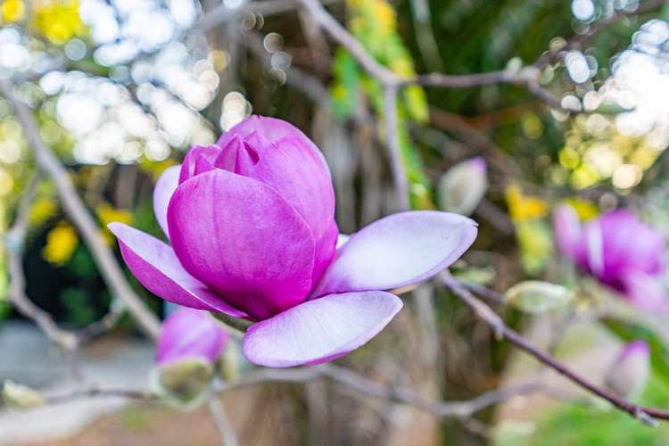 497a Tara Road Mangawhai_23